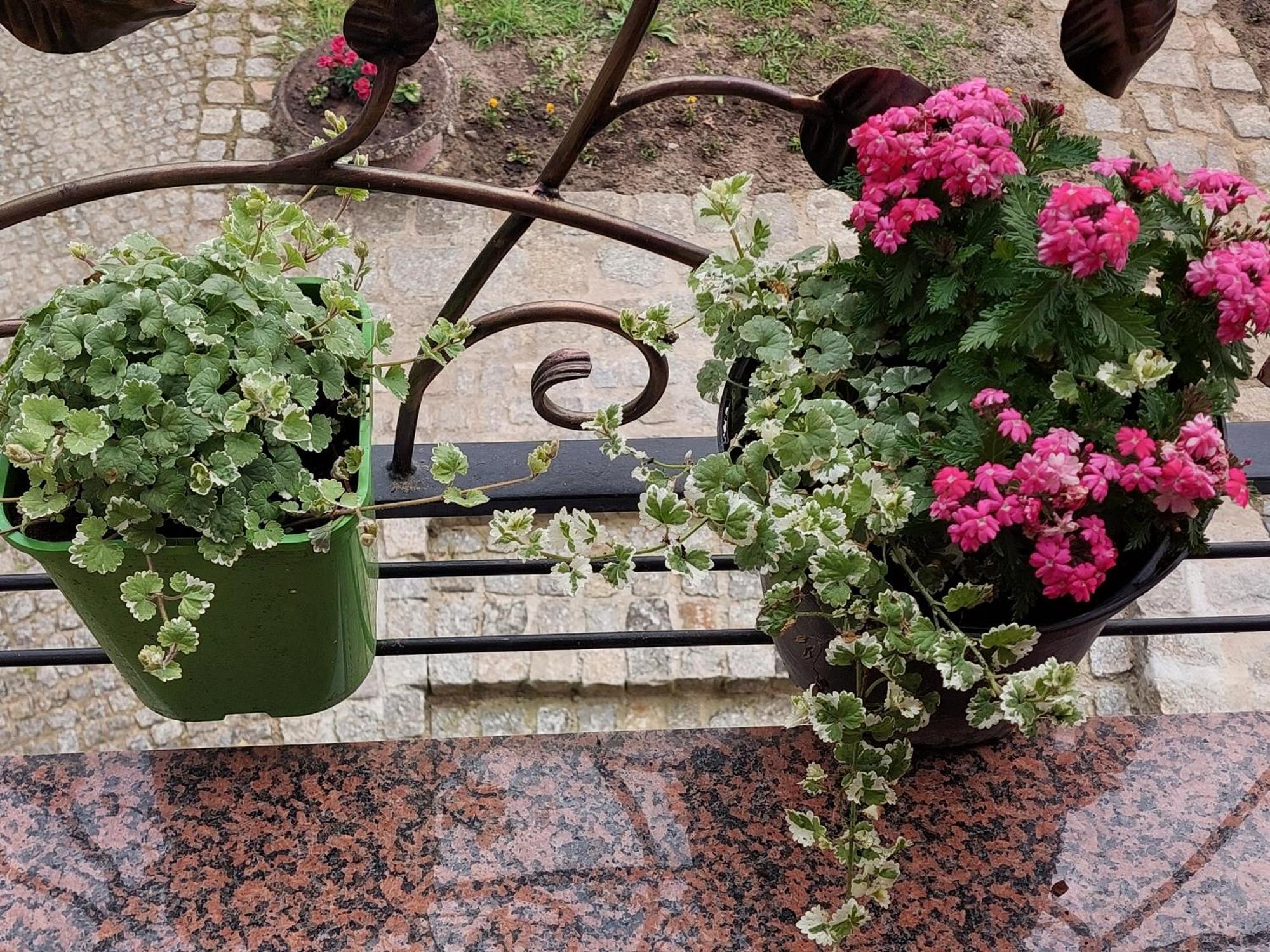 Ferienwohnung La Brigitte Hennigsdorf Zimmer foto